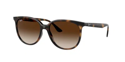 Ray Ban Rb4378f Asian Fit 710/13 Women's Sunglasses Tortoiseshell Size 54 In Yellow
