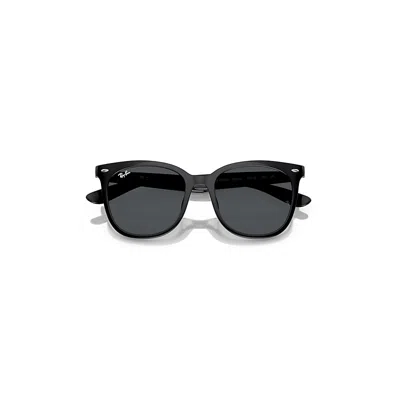 Ray Ban Rb4379d Sunglasses Black Frame Grey Lenses 55-19
