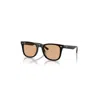 Ray Ban Sunglasses Unisex Rb4391d - Black Frame Brown Lenses 65-18 In Black