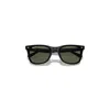 Ray Ban Ray In Black