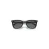 Ray Ban Rb4391d Sunglasses Transparent Grey Frame Grey Lenses 65-18 In Transparent Grey