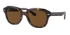 Ray Ban Ray In Brown