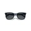 Ray Ban Rb4420 Fourth Of July Limited Sunglasses Transparent Blue Frame Grey Lenses Polarized 65-18
