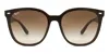 Ray Ban Ray In Brown