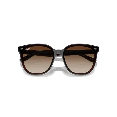 Ray Ban Rb4423d Sunglasses Transparent Brown Frame Brown Lenses 66-15