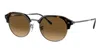 Ray Ban Ray In Brown