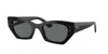 Ray Ban Ray In Black