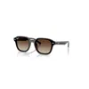 Ray Ban Rb4458d Sonnenbrillen Dunkelbraun Transparent Fassung Braun Glas 65-18 In Dunkelbraun Transparent