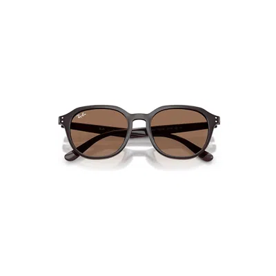 Ray Ban Rb4459d Sunglasses Opal Brown Frame Brown Lenses 54-19