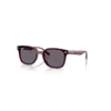 Ray Ban Rb4461d Sonnenbrillen Dunkelbraun Transparent Fassung Violett Glas 64-17 In Dunkelbraun Transparent