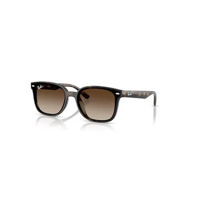 Ray Ban Rb4461d Sonnenbrillen Havana Fassung Braun Glas 64-17