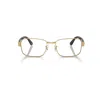 RAY BAN RB6529 OPTICS  HAVANA FASSUNG KLAR GLAS POLARISIERT 54-18