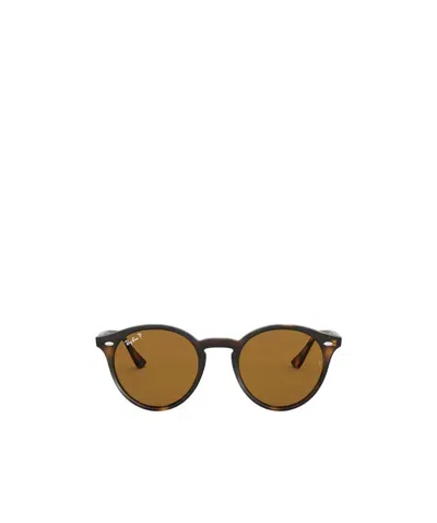 Ray Ban Ray-ban Round Frame Sunglasses In Brown