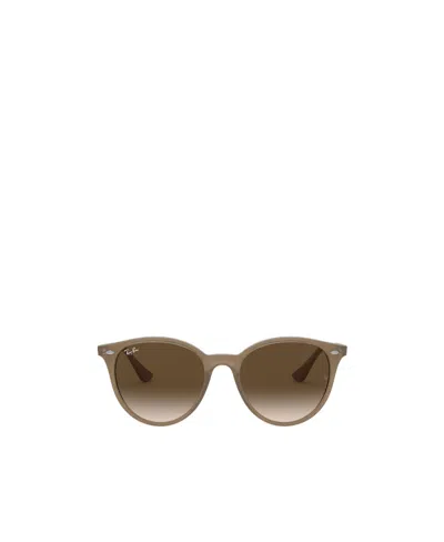 Ray Ban Round Frame Sunglasses In Green