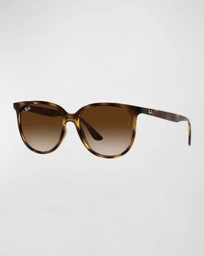 Ray Ban Round Propionate Sunglasses, 54mm In Rose Gold Black