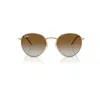 Ray Ban Round Reverse Sunglasses Arista Gold Frame Brown Lenses 53-21 In Arista Gold