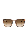 Ray Ban Round Sunglasses In Brown