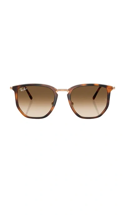 Ray Ban Round Sunglasses In Brown