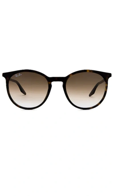 Ray Ban Round Sunglasses In Havana