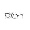 Ray Ban Sam Optics  Havana Fassung Klar Glas Polarisiert 52-19 In Havana