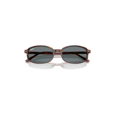 Ray Ban Sam Sunglasses Striped Havana Frame Blue Lenses 54-19 In Brown