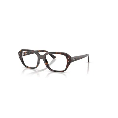 Ray Ban Shea Optics Bio-based  Havana Fassung Klar Glas Polarisiert 53-18