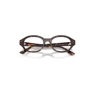 Ray Ban Shilo Optics Bio-based Eyeglasses Havana Frame Clear Lenses Polarized 54-20