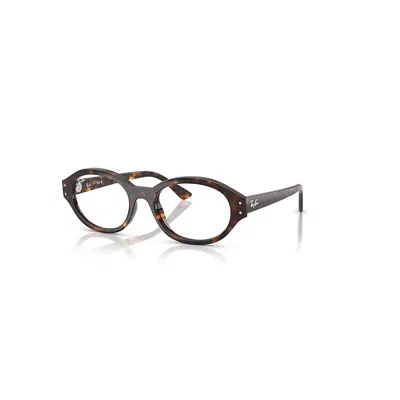 Ray Ban Shilo Optics Bio-based  Havana Fassung Klar Glas Polarisiert 52-20