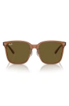 Ray Ban Slim Square 57mm Sunglasses In Transparent Brown
