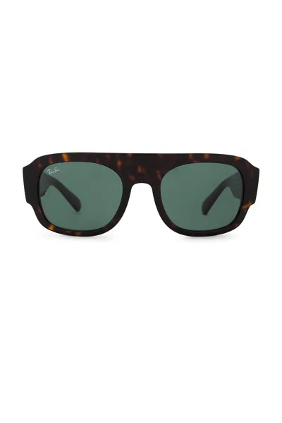 Ray Ban Sunglasses In Brown