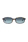 Ray Ban Sunglasses In Brown
