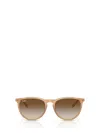 Ray Ban Ray-ban Sunglasses In Brown