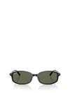 Ray Ban Ray-ban Sunglasses In Brown