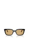 Ray Ban Ray-ban Sunglasses In Brown