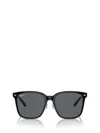 Ray Ban Ray-ban Sunglasses In Black