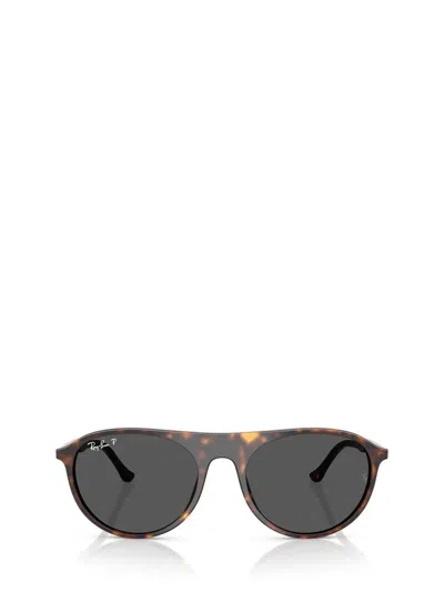 Ray Ban Ray-ban Sunglasses In Brown