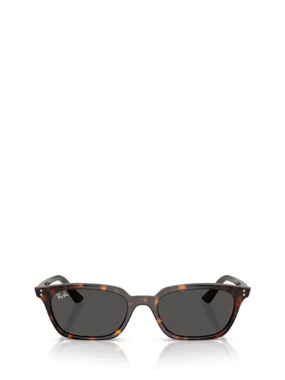 Ray Ban Ray-ban Sunglasses In Brown