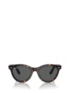 Ray Ban Ray-ban Sunglasses In Brown