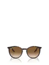 Ray Ban Ray-ban Sunglasses In Brown