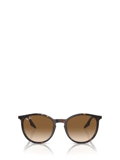 Ray Ban Ray-ban Sunglasses In Brown