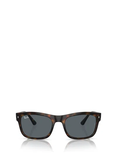 Ray Ban Ray In Brown