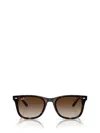 Ray Ban Ray-ban Womens Brown Rb4420 Square-frame Injected Sunglasses In Brown