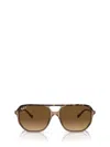 Ray Ban Womens Gold Rb2205 Rectangle-frame Acetate Sunglasses In Havana On Transparent Brown