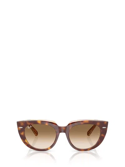 Ray Ban Rb2286 Doreen Cat-eye Sunglasses In Light Havana On Transparent Multicolour