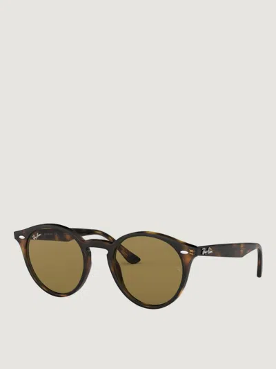 Ray Ban Sunglasses Men Ray-ban In Brown
