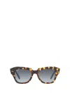 Ray Ban Ray-ban Sunglasses In Brown