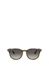 Ray Ban Ray In Multicolor