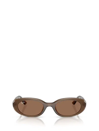 Ray Ban Ray In Dark Brown