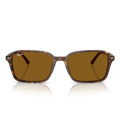Ray Ban Raimond Sunglasses Transparent Fantasy Brown Frame Brown Lenses 56-18