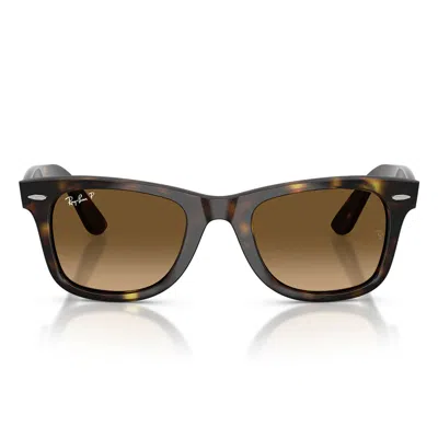 Ray Ban Sunglasses Rb4340 710/m2 Wayfarer Ease Brown/brown Smoky Unisex Polarized